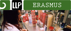 erasmusplacement