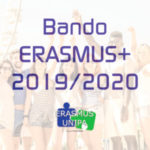 VIVERE ERASMUS